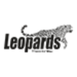LEOPARDS COURIER photo